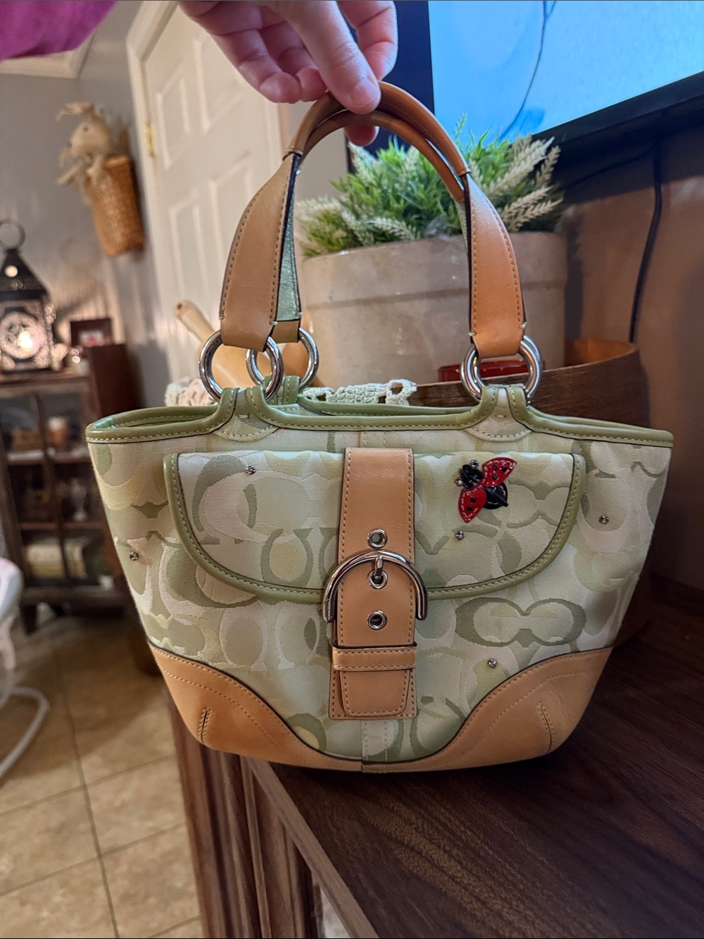 2004 Coach Limited Edition Ladybug Green Soho